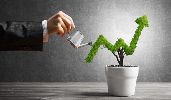 BNW Aqua Maya Investment